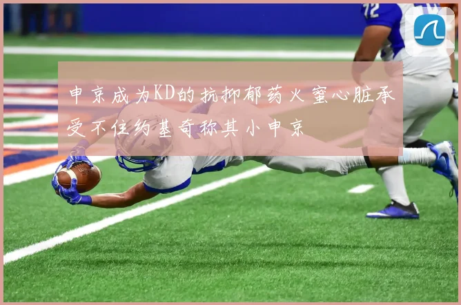 申京成为KD的抗抑郁药火蜜心脏承受不住约基奇称其小申京